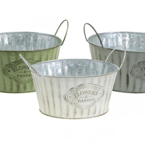 Floristik24 Cuenco de metal, maceta de flores de primavera, jardinera con asas verde, blanco, gris Ø21cm H15.5cm juego de 3