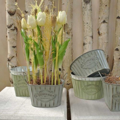 Floristik24 Maceta de metal con asas verde, blanco, gris L24cm H14,5cm 3ud