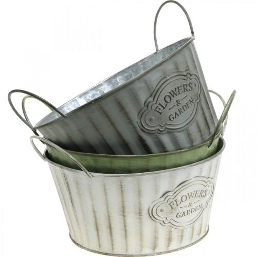 Floristik24 Cuenco de metal, maceta de flores de primavera, jardinera con asas verde, blanco, gris Ø21cm H15.5cm juego de 3
