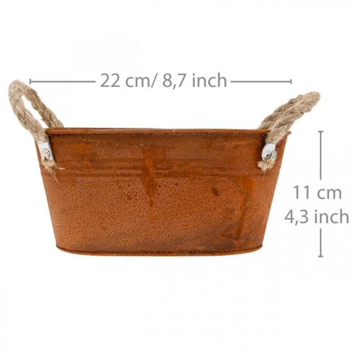 Floristik24 Cuenco de metal con asas, decoración de otoño, macetero con pátina L22cm H11cm