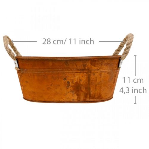 Floristik24 Macetero con asas, cuenco para hierbas, decoración otoñal, pátina L28cm H11cm