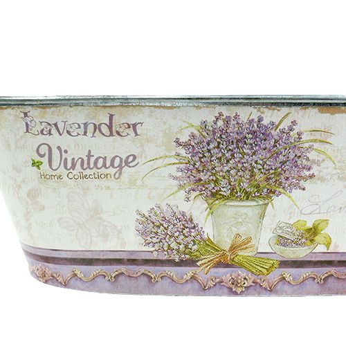 Floristik24 Cuenco decorativo con motivos de lavanda, 3 juegos