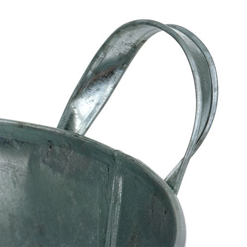 Floristik24 Plato de siembra de 3 juegos de lavanda redonda Ø17-23cm