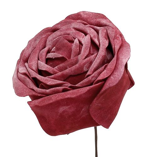 Floristik24 Espuma rosa mix Ø10cm 6pcs