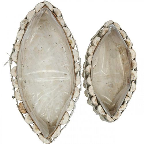 Floristik24 Cuenco para plantas, macetero de madera, jardinera L37.5/28cm H10/9cm juego de 2