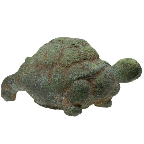 Floristik24 Figura de jardín tortuga musgo 30cm x 18cm H15cm