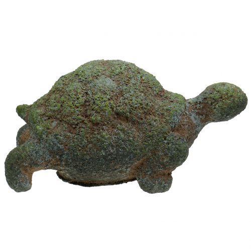 Floristik24 Figura de jardín tortuga musgo 30cm x 18cm H15cm