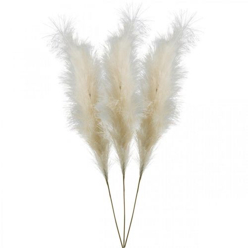 Floristik24 Pluma hierba crema caña china hierba seca artificial 100 cm 3 piezas