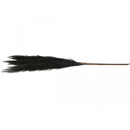 Floristik24 Hierba de plumas, caña china negra, hierba seca artificial, 100 cm, 3 uds.