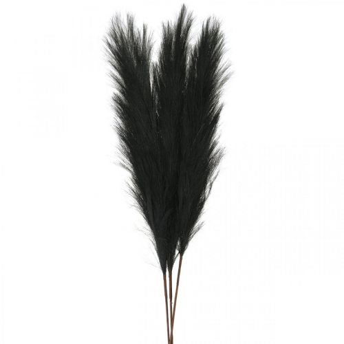 Floristik24 Hierba de plumas, caña china negra, hierba seca artificial, 100 cm, 3 uds.