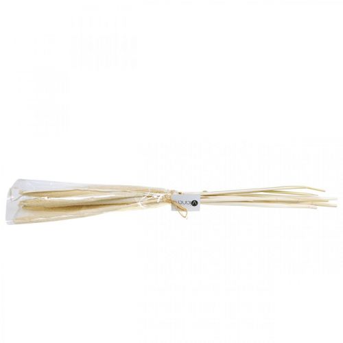 Floristik24 Reed deco caña hierba seca blanqueada H60cm manojo