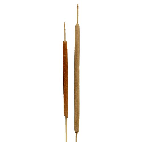 Artículo Bombilla de caña mezcla de cañas decorativas naturales 70cm 100uds