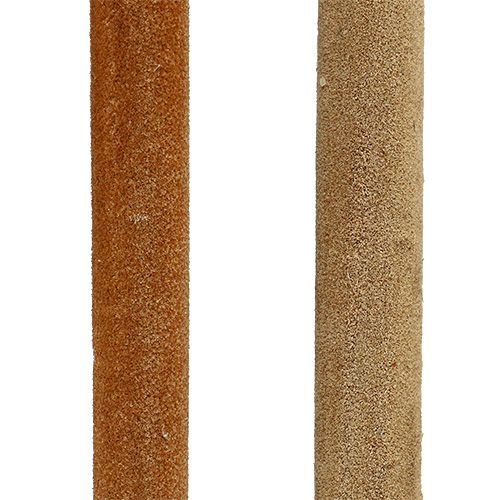 Artículo Bombilla de caña mezcla de cañas decorativas naturales 70cm 100uds