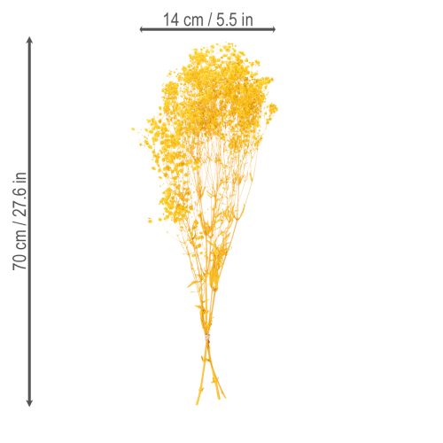 Artículo Ramo de flores secas con gisálida. Ramas decorativas ideales para la decoración de mesas de temporada. 70 cm.