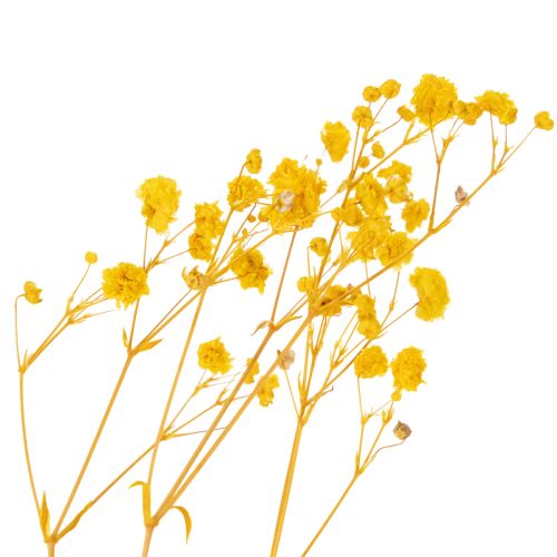 Artículo Ramo de flores secas con gisálida. Ramas decorativas ideales para la decoración de mesas de temporada. 70 cm.