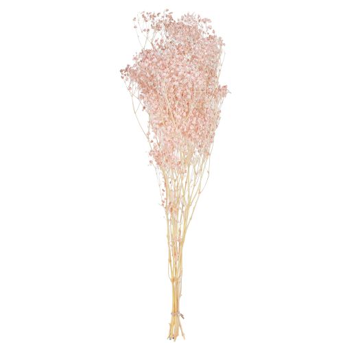 Artículo Gypsophila Decoración Hierbas Secas Naranja Melocotón 65-70cm 100g