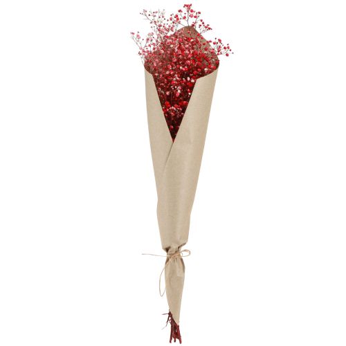 Artículo Gypsophila Gypsophila Flores Secas Rojas 50cm 55g