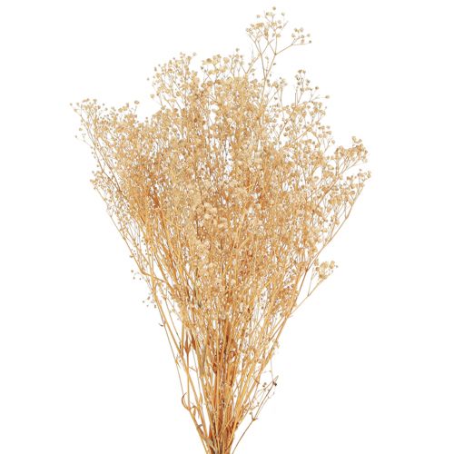 Floristik24 Gypsophila Pensamiento Yeso Hierba Flores blancas 50cm 55g