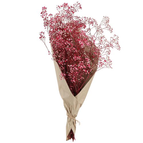 Artículo Gypsophila hierba de yeso paniculada en baya L50cm 55g