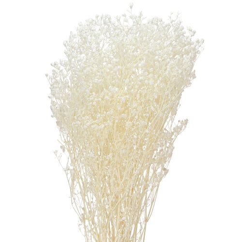 Artículo Hierbas secas blancas de gypsophila para decoración, crema, 65-70 cm, 100 g