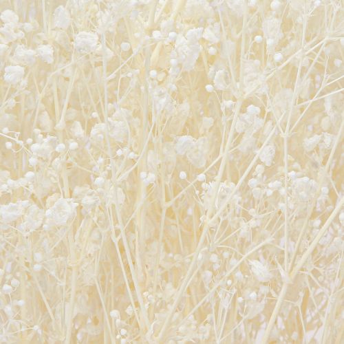 Artículo Hierbas secas blancas de gypsophila para decoración, crema, 65-70 cm, 100 g