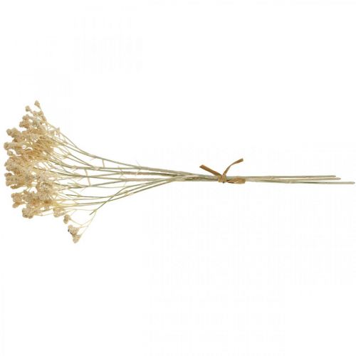 Artículo Gypsophila artificial crema gypsophila 46cm manojo de 3 piezas