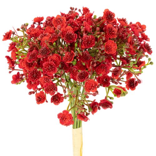Paniculata artificial, roja, ramo como decoración floral, 30 cm, 10 unidades
