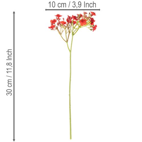 Paniculata artificial, roja, ramo como decoración floral, 30 cm, 10 unidades | Floristik24.es
