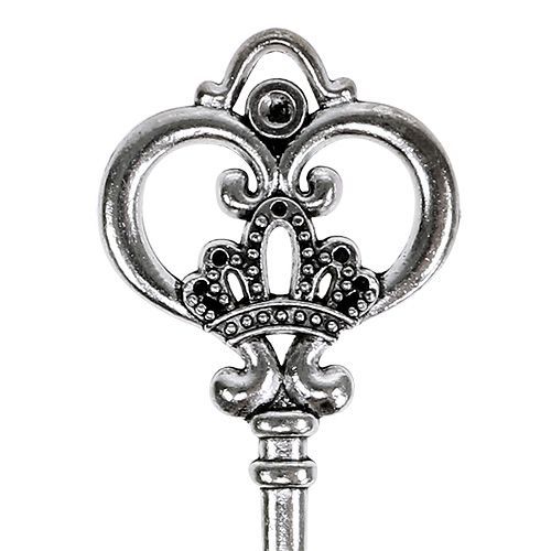 Floristik24 Deco clave 8,5cm plata 12pcs