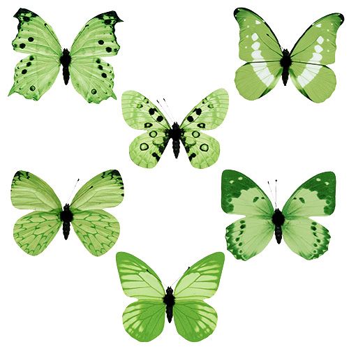 Floristik24 Mariposa verde en clip 10cm - 11cm 6pcs