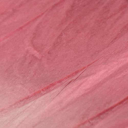 Artículo Mariposa colgante grande, elegante decoración de pared, 50 cm, 2 piezas