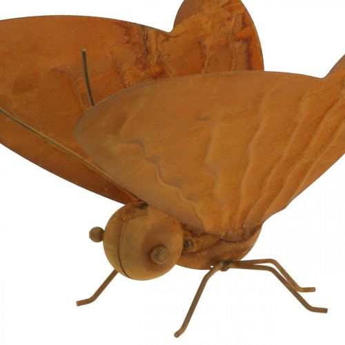 Floristik24 Figura de jardín, mariposa para colocar, decoración de metal patina L20cm W21cm