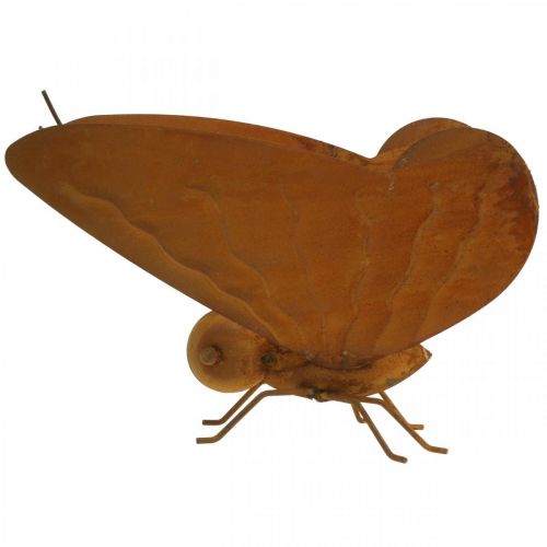 Floristik24 Figura de jardín, mariposa para colocar, decoración de metal patina L20cm W21cm