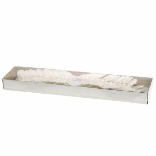 Floristik24 Mariposa de plumas con alambre blanco, purpurina 5cm 24 piezas