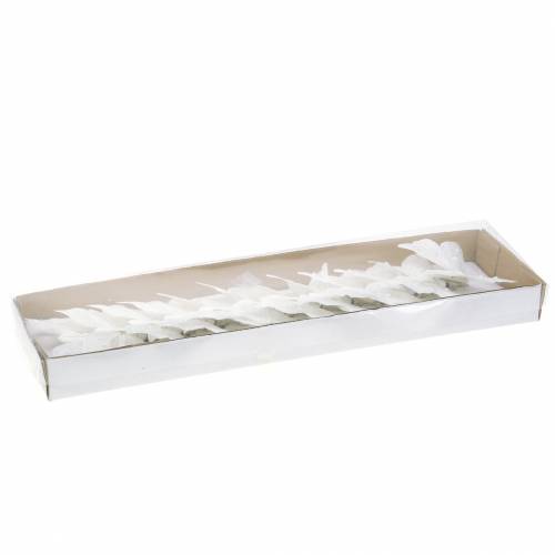 Floristik24 Pluma mariposa en clip blanco 10 cm 12 uds.
