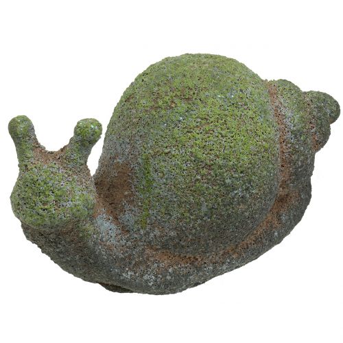 Floristik24 Figurilla de jardín caracol musgoso 31cm x 17cm H17cm