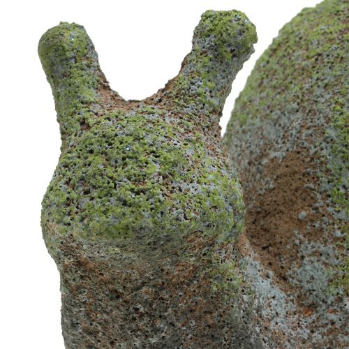 Floristik24 Figurilla de jardín caracol musgoso 31cm x 17cm H17cm