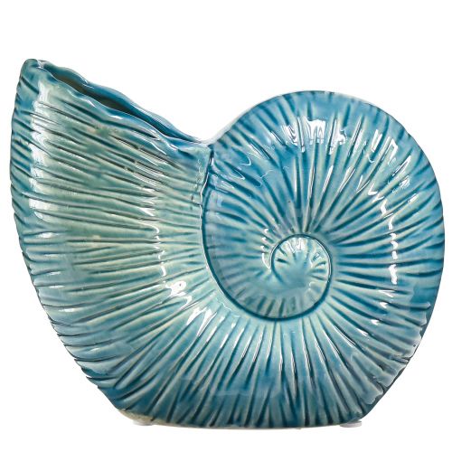Floristik24 Florero decorativo caracol florero azul cerámica L18cm