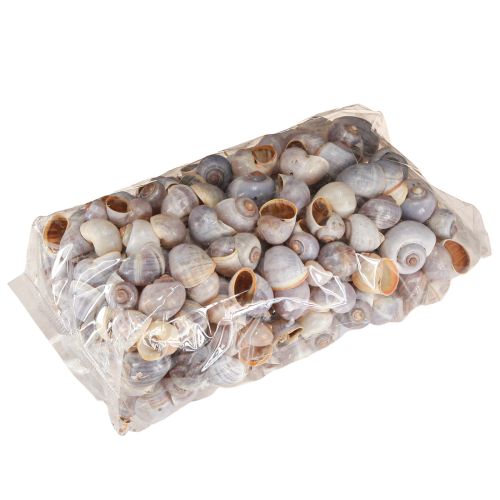 Artículo Caracoles naturaleza 1kg