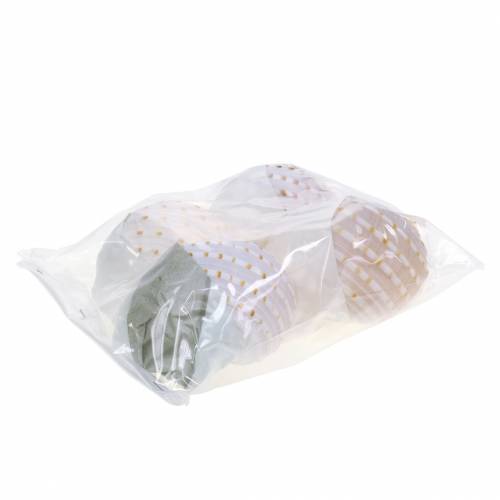 Floristik24 Concha decorativa caracol Tonna tessellata natural 10-13cm 4 piezas