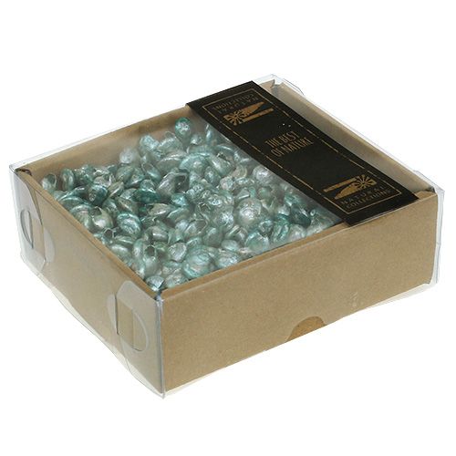Floristik24 Concha de caracol azul-verde 500g