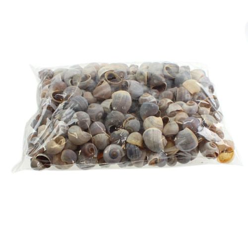 Artículo Caracoles naturaleza 1kg