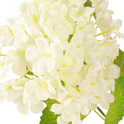 Artículo Rama de viburnum artificial bola de nieve con flores blancas (largo x ancho x alto): 90 cm