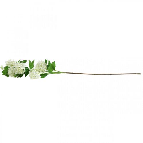 Floristik24 Rama Bola de Nieve Planta Artificial Flor de Seda Blanco Ø6.5cm L78cm