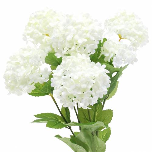 Floristik24 Rama Snowball Viburnum Blanco 42.5cm