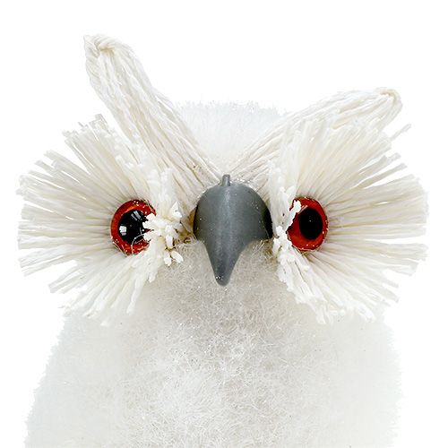 Floristik24 Snowy Owl blanco 18cm