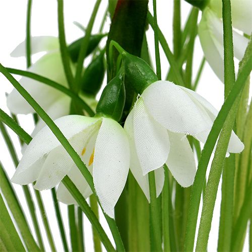 Floristik24 Campanilla de invierno con bola de hierba 24cm