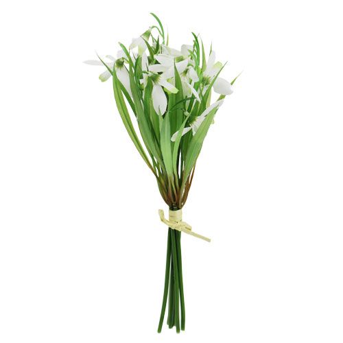 Floristik24 Campanilla de invierno 23cm 7pcs