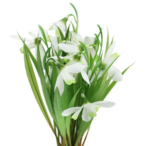 Floristik24 Campanilla de invierno 23cm 7pcs