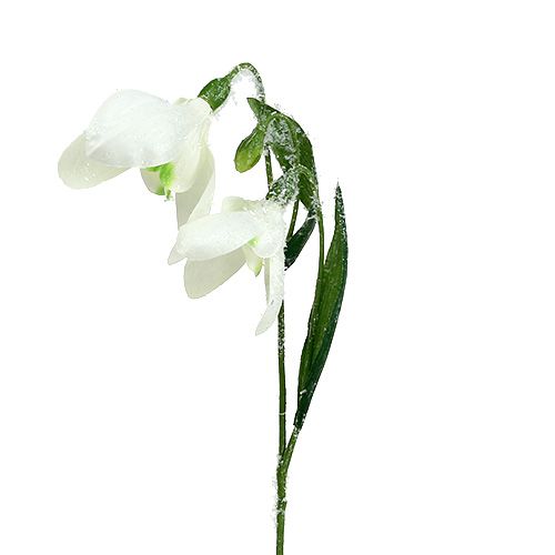 Campanilla de las nieves L48cm cubierto de nieve